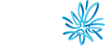 AMP logo